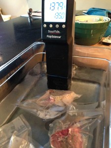 This is an emersion unit for Sous Vide- made by Polyscience
